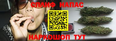 бошки Донецк