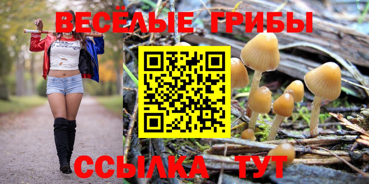 Псилоцибиновые грибы Cubensis Нижневартовск